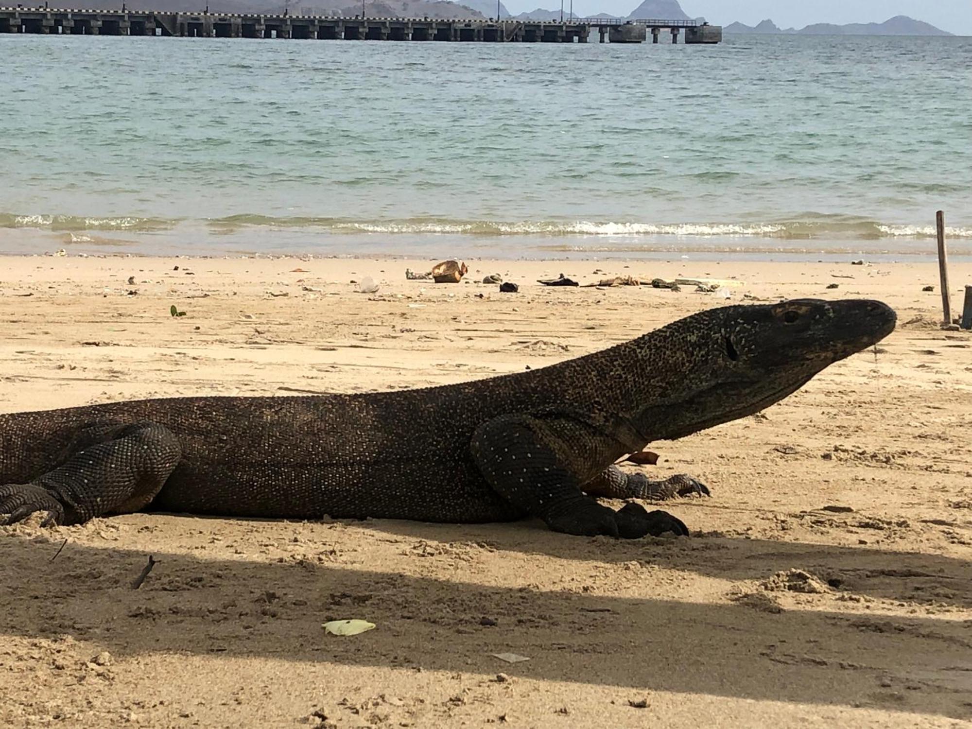 Dua Putri Komodo Homestay מראה חיצוני תמונה