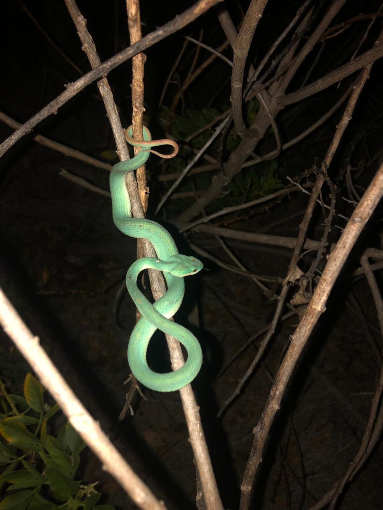 Dua Putri Komodo Homestay מראה חיצוני תמונה